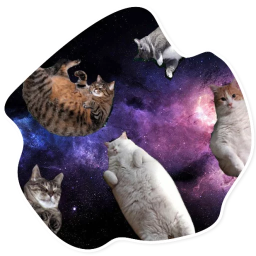 Стикер SpaceCats1 - 1