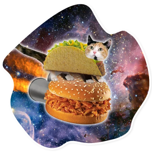 Sticker SpaceCats1 - 1