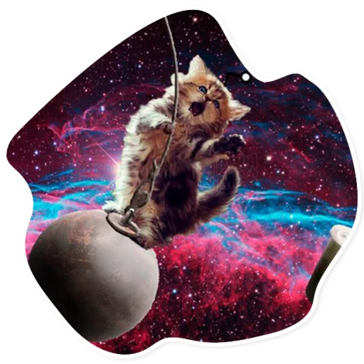 Sticker SpaceCats1 - 1