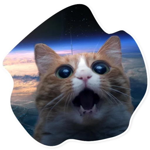 Sticker SpaceCats1 - 1
