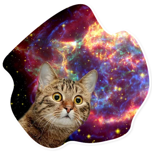 SpaceCats @StikeryTG - 