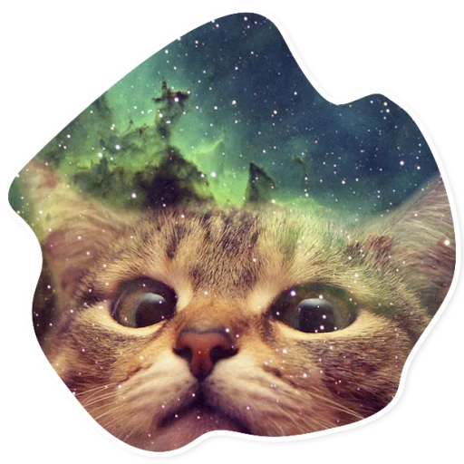 Sticker SpaceCats1 - 1