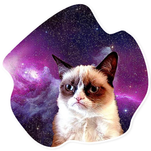 Sticker SpaceCats1 - 1
