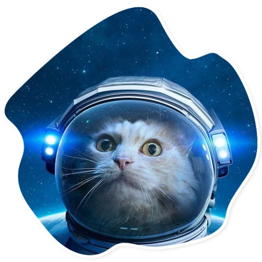Sticker SpaceCats1 - 1