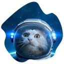 Sticker SpaceCats @StikeryTG - 1