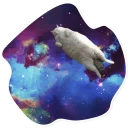 Sticker SpaceCats @StikeryTG - 0