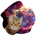 Sticker SpaceCats @StikeryTG - 4