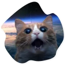Sticker SpaceCats @StikeryTG - 7