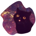 Sticker SpaceCats @StikeryTG - 5