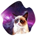 Sticker SpaceCats @StikeryTG - 2