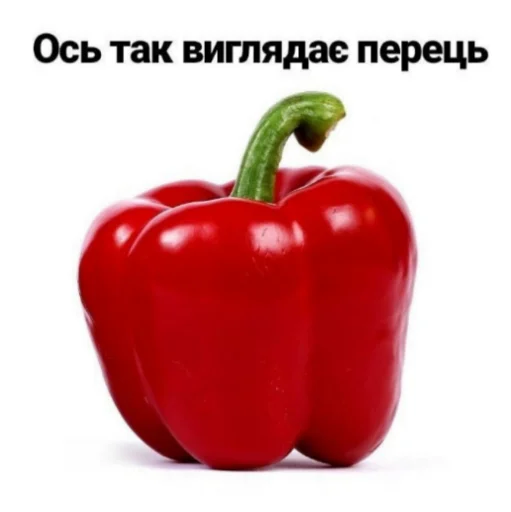 Sticker SpaceCosmo - 1