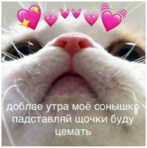 Sticker SpaceCosmo - 1