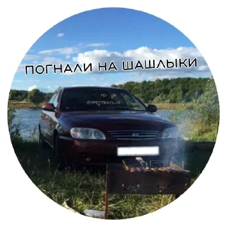 Стикер @SpectraClub - 7