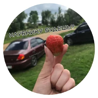 Стикер @SpectraClub - 0