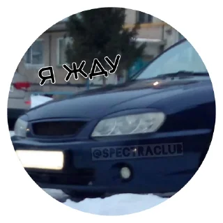 Стикер @SpectraClub - 5