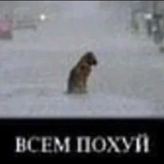 Стикер afelak - 7