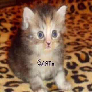 Стикер afelak - 4