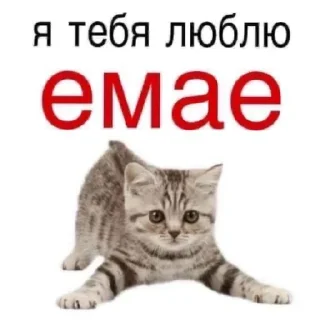 Sticker Спешіал фор Іванушка - 9