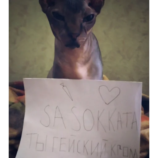 животное почерк домашнее животное