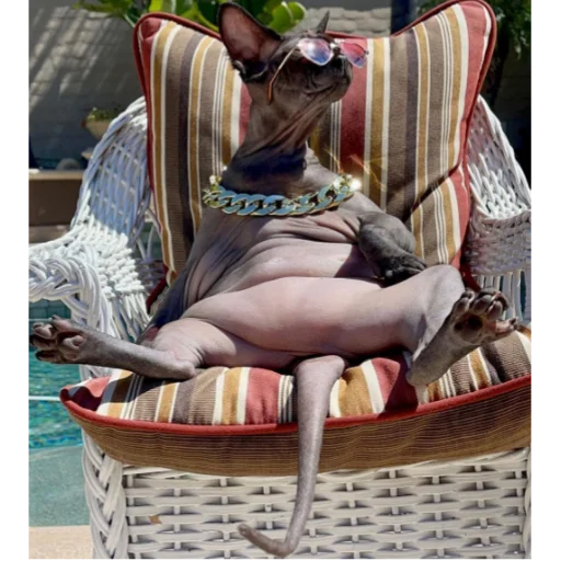 person outdoor clothing