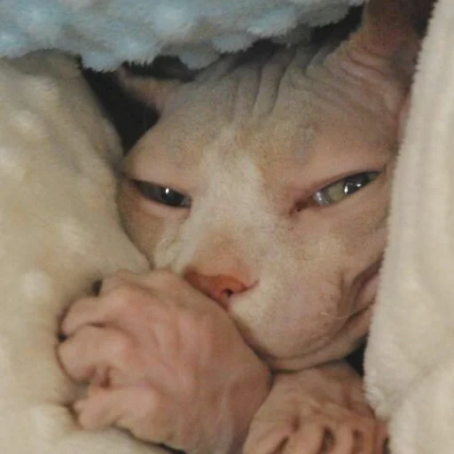 Человек кожа вздремнуть