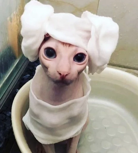 indoor bathroom sink