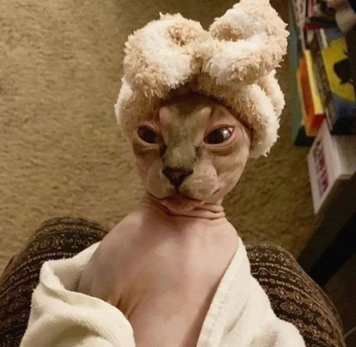 Тедди млекопитающее фаршированный