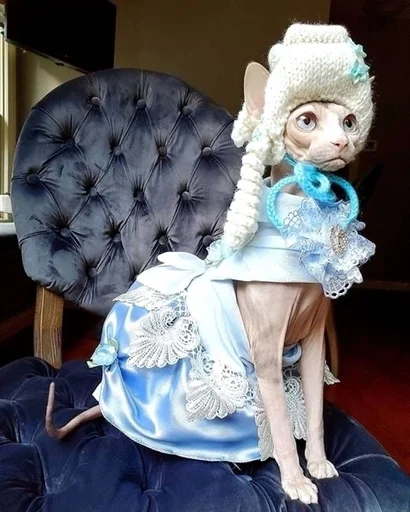 figurine costume design indoor