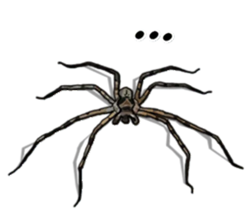 Spiders Time @stickersb2b - 