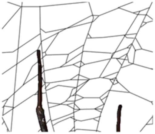 Sticker SpidersTime - 1