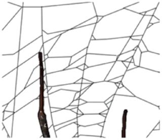 Стикер Spiders Time @stickersb2b - 2