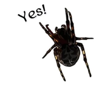 Стикер Spiders Time @stickersb2b - 7