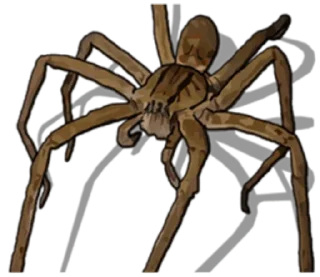 Стикер Spiders Time @stickersb2b - 4