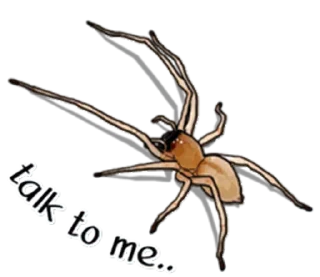 Стикер Spiders Time @stickersb2b - 9