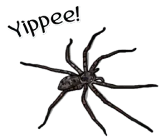 Стикер Spiders Time @stickersb2b - 3