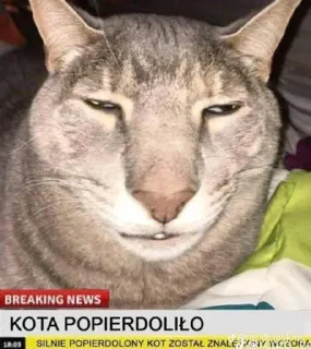 Стикер Spierdolony - 2