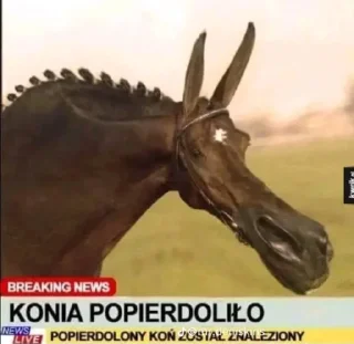 Стикер Spierdolony - 0