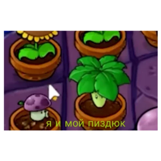 Спикер дичь - 