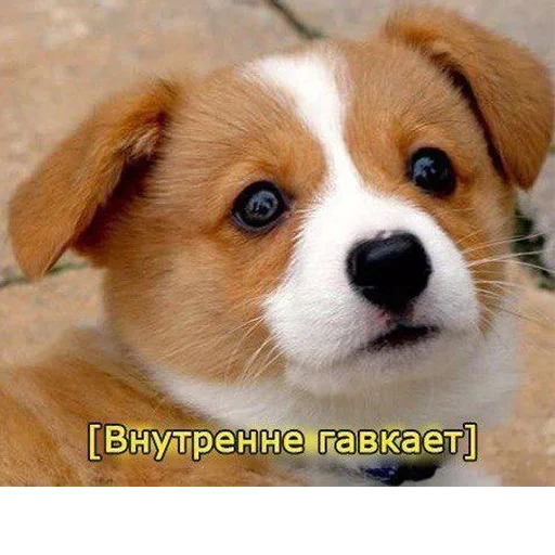 Стикер Спизжено by @fStikBot - 11