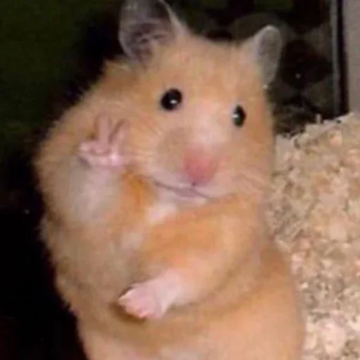 Стикер Спизжено by @fStikBot - 9