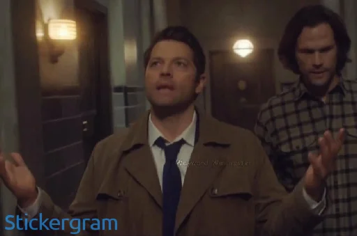 человеческое лицо Человек одежда