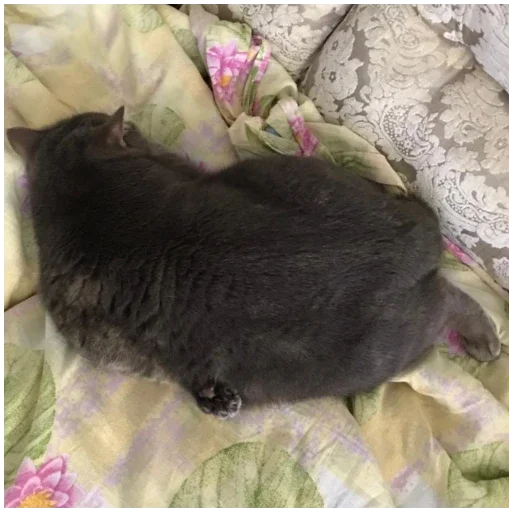 Sticker SpockyCat№2 - 4