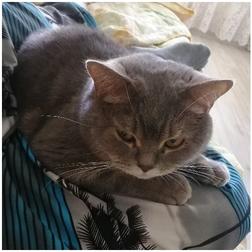 Sticker SpockyCat№2 - 2