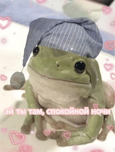 amphibian true frog animal