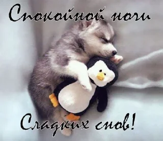 Sticker Спокойной ночи - 4