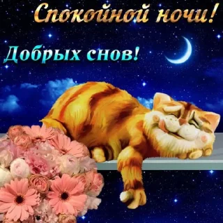 Sticker Спокойной ночи - 2