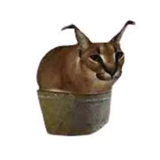 Sticker GOMODRIL - 10