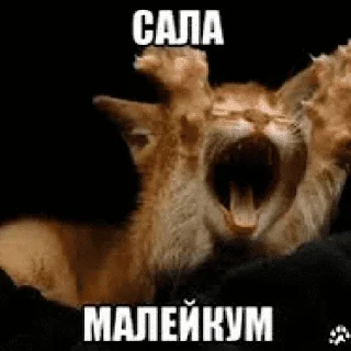 Sticker СПОРТИКИ - 2