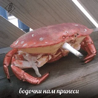 Sticker СПОРТИКИ - 10