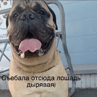 Sticker СПОРТИКИ - 3